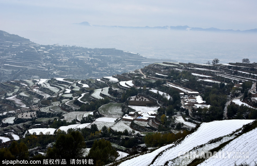 甘肅迎來(lái)雨雪天氣 雪落梯田景致宛如水墨畫(huà)