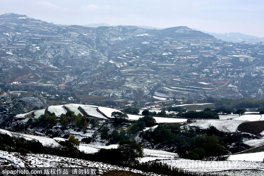 甘肅迎來雨雪天氣 雪落梯田景致宛如水墨畫