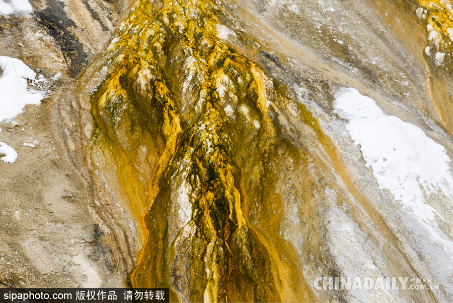 降溫雪韻至 盤點(diǎn)最平凡的冬日美景