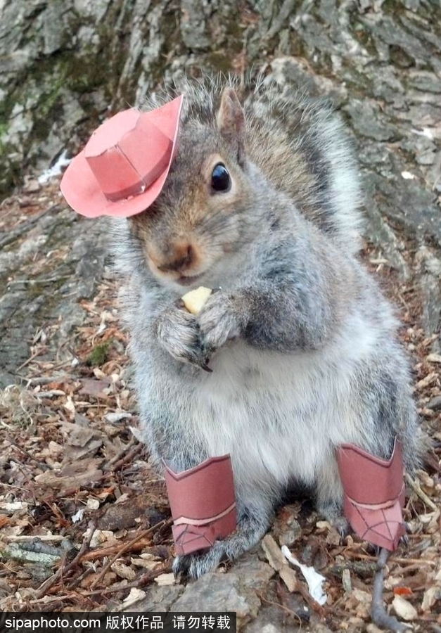松鼠愛打扮！ 美國社交障礙女生擺拍松鼠一夜爆紅
