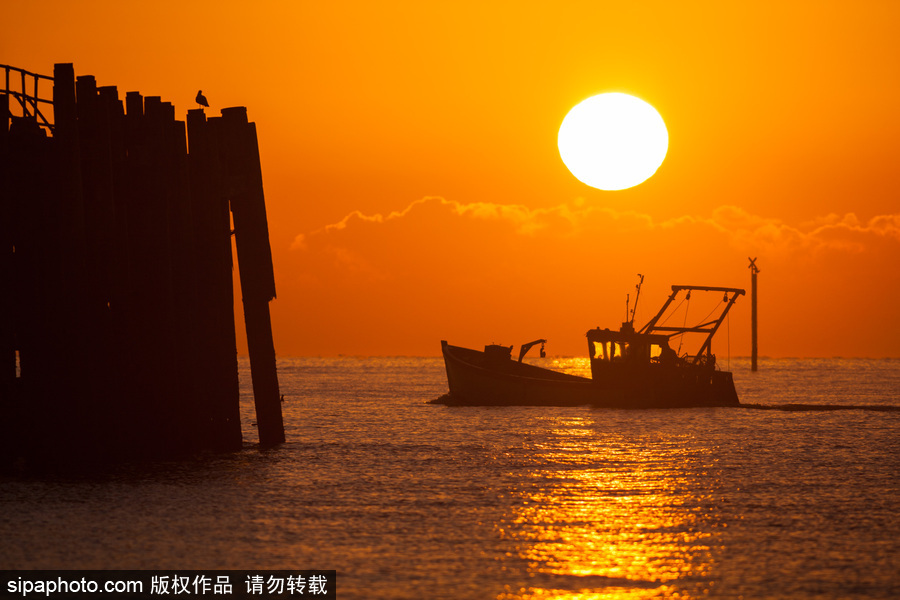 英國漢普郡海邊日出 日光柔和靜謐十足