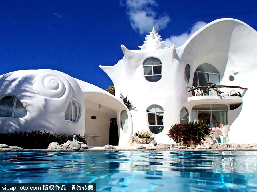 超奢華夢幻“貝殼屋” 獨特設(shè)計充滿來自海洋的小清新
