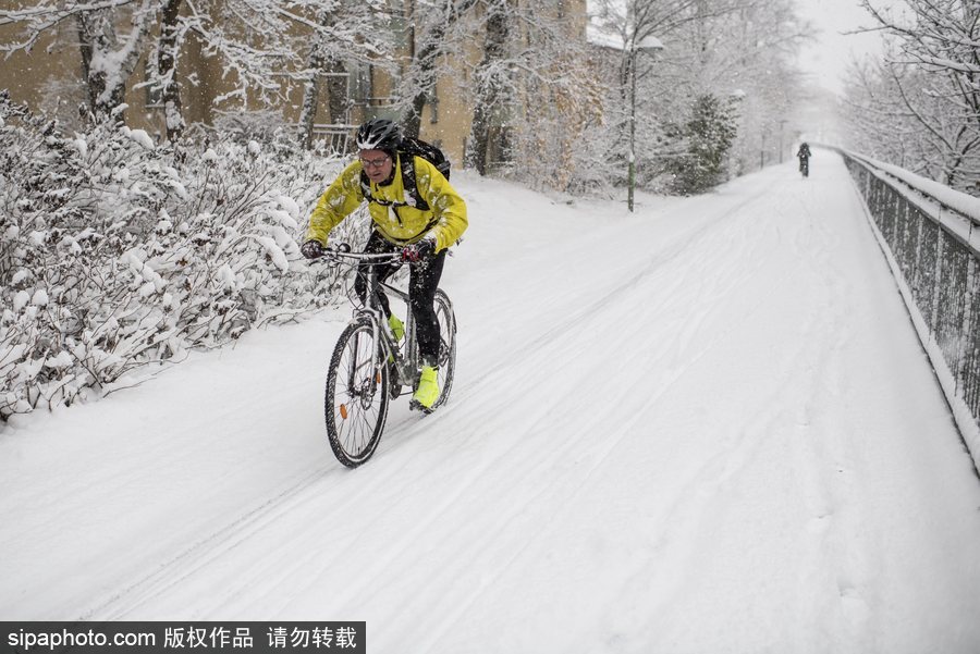 瑞典迎來今年第一場降雪 嚴重影響當地交通