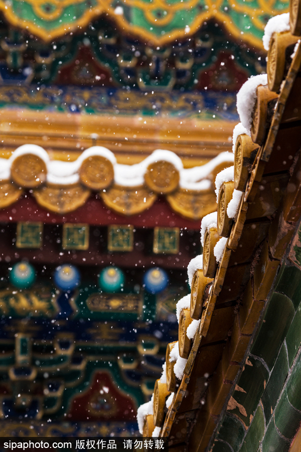 小雪節氣將至 盤點那些紛紛揚揚的日子