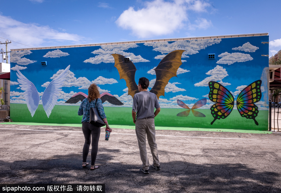 美國萊克沃思街頭繪畫藝術(shù)節(jié) 各國藝術(shù)家齊聚大展身手