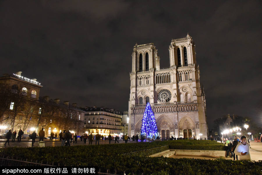巴黎圣母院前圣誕樹亮燈 迎接圣誕節(jié)到來