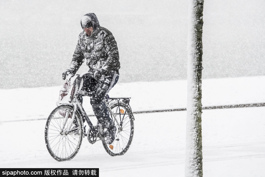 荷蘭鹿特丹降大雪 民眾騎車(chē)出行成雪人