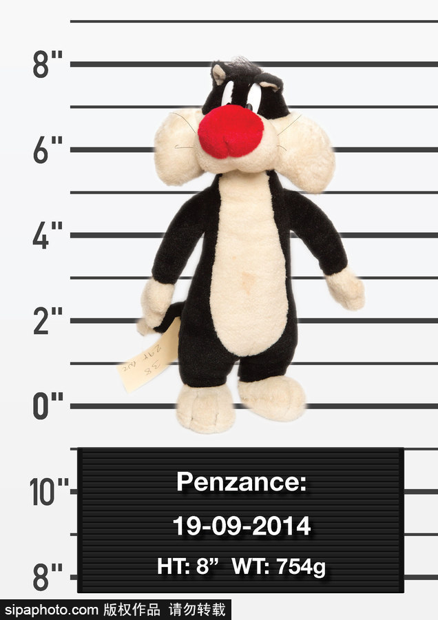 迷路的小伙伴 現(xiàn)實(shí)版帕丁頓熊尋“主人”啟事