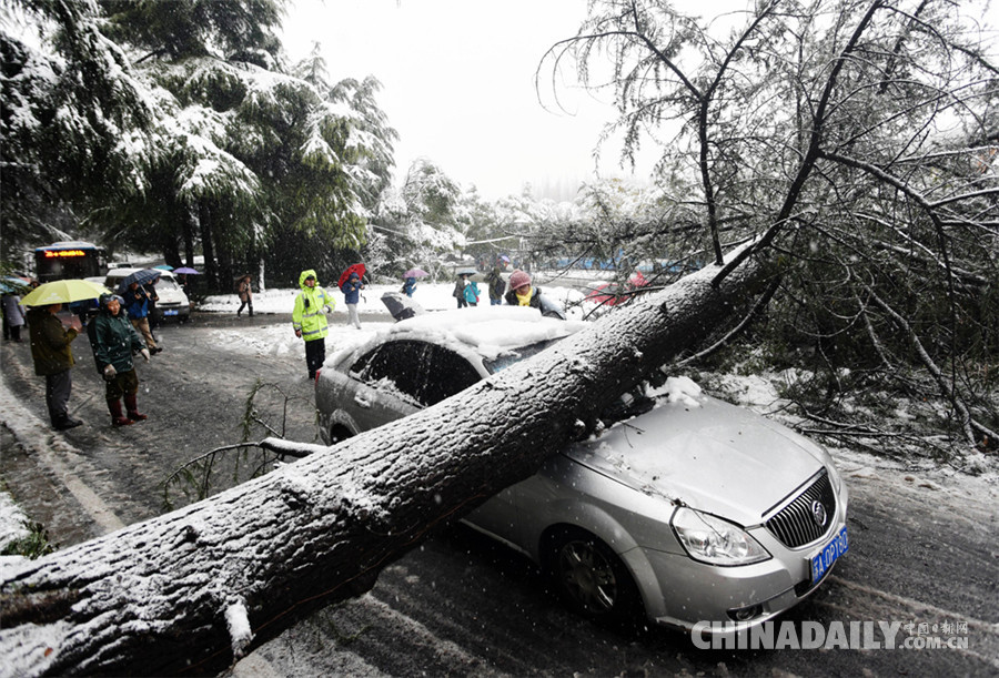 中國(guó)日?qǐng)?bào)2018新年圖片特刊：迎接新時(shí)代