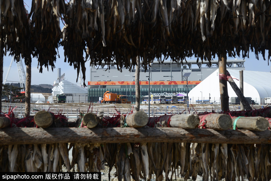 2018平昌冬奧會：場館外晾曬干鱈魚 場面壯觀