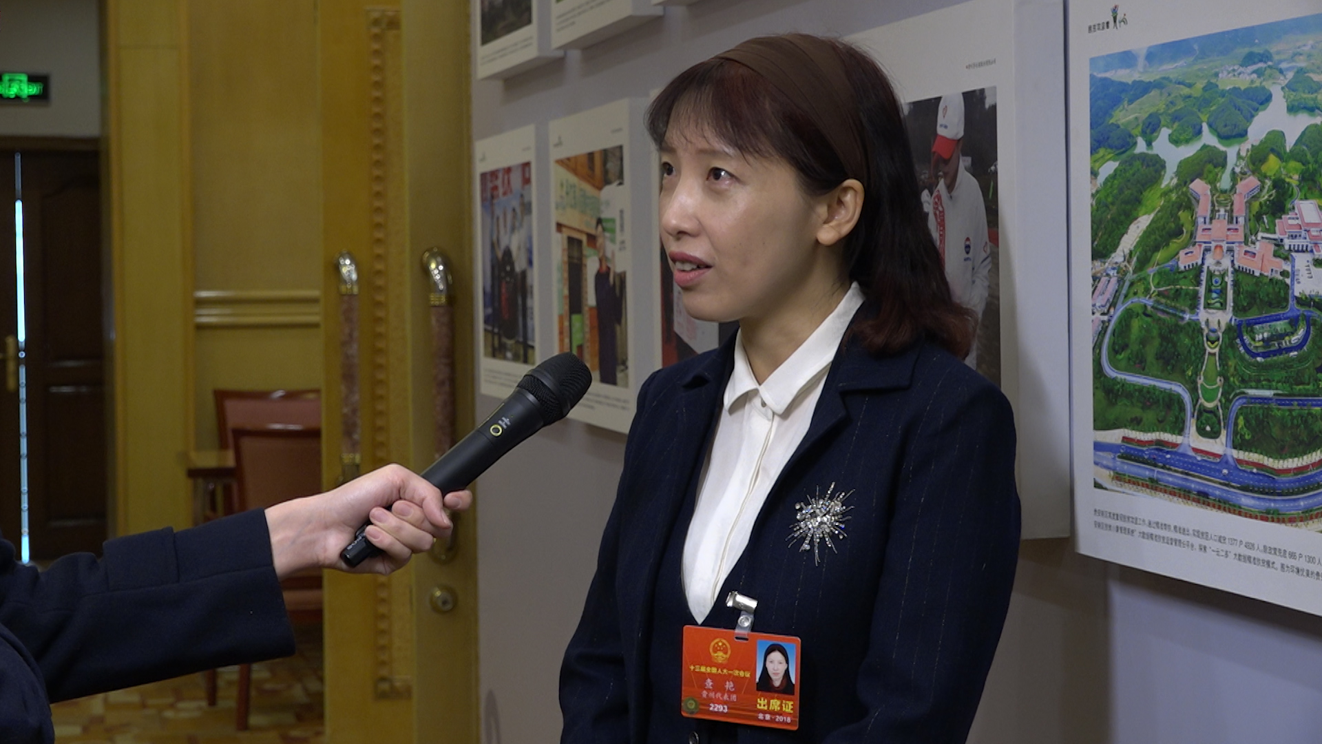 兩會代表委員秀英文！關于看病難他們有話說丨艾瑞克跑兩會