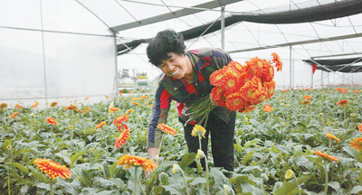 “有她在,我們放心!”——記福建省永安市小陶鎮五一村黨支部書記許光園