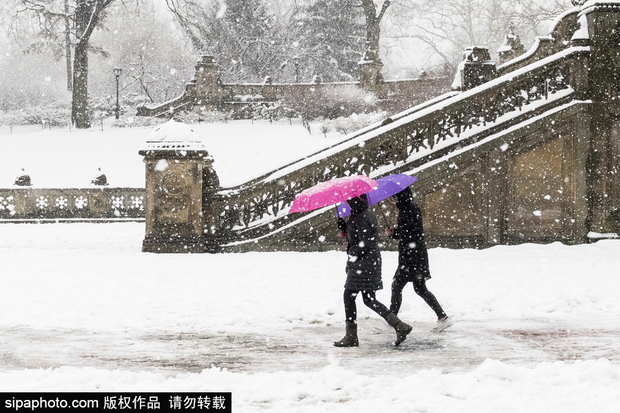 這波倒春寒來的迅猛！美國紐約遭遇暴雪天氣