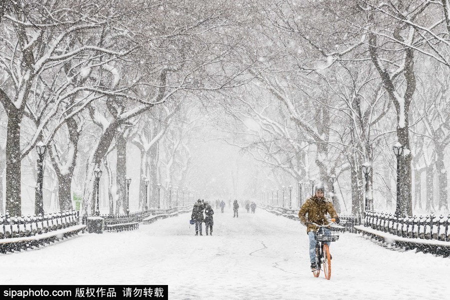 這波倒春寒來(lái)的迅猛！美國(guó)紐約遭遇暴雪天氣