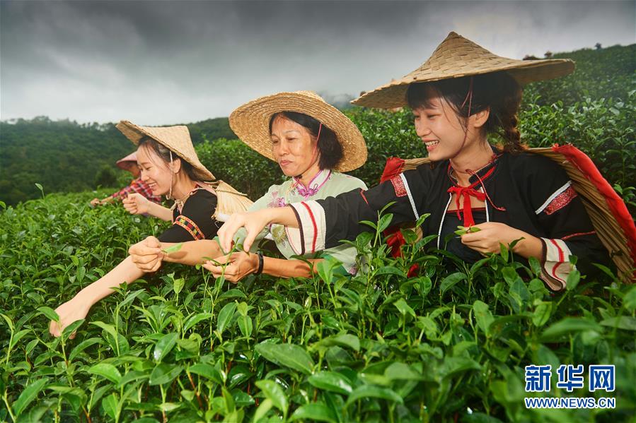 春潮拍岸千帆進——海南特區改革開放30年紀實