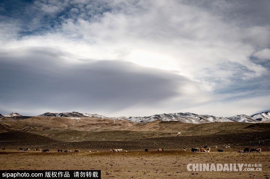 感受美國(guó)內(nèi)華達(dá)州冬季風(fēng)光 人煙稀少一望無(wú)垠