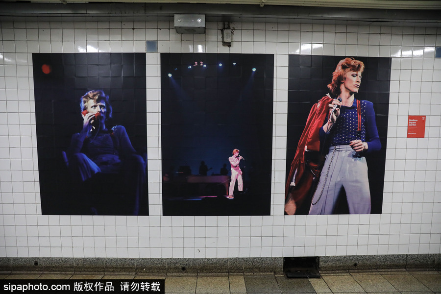 在美國地鐵遇見“大衛·鮑伊” 主題展覽回顧“搖滾變色龍”一生