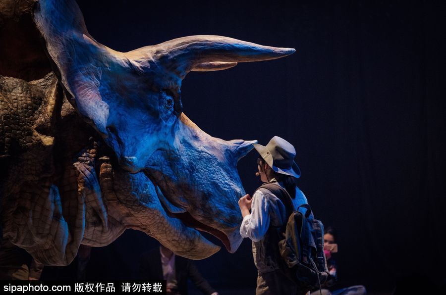 再現侏羅紀風云 日本東京“恐龍”現場表演場景震撼