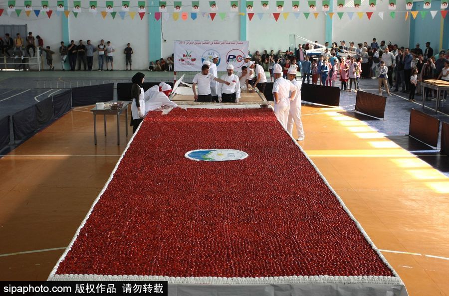 阿爾及利亞誕生世界最大草莓派 高達47.79米寬3米