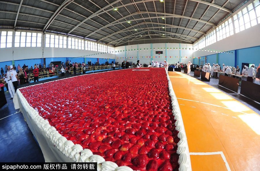 阿爾及利亞誕生世界最大草莓派 高達47.79米寬3米