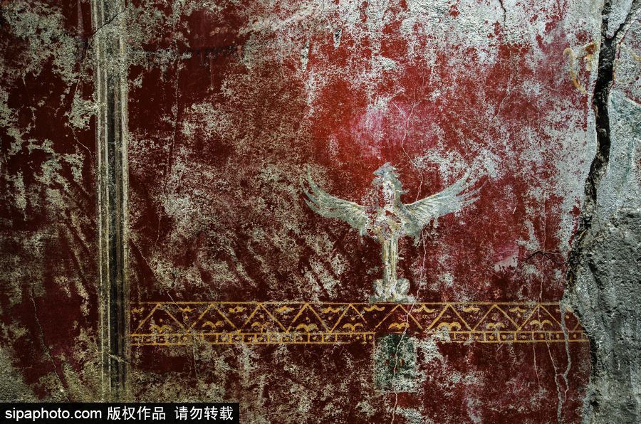 意大利考古隊(duì)發(fā)現(xiàn)龐貝古城建筑群“海豚之屋” 罕見保持完好
