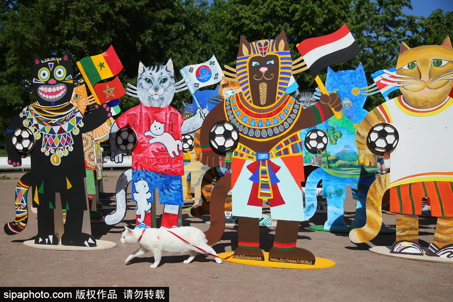 俄羅斯“預言貓”攜各國“貓咪”們現身 迎接2018世界杯到來