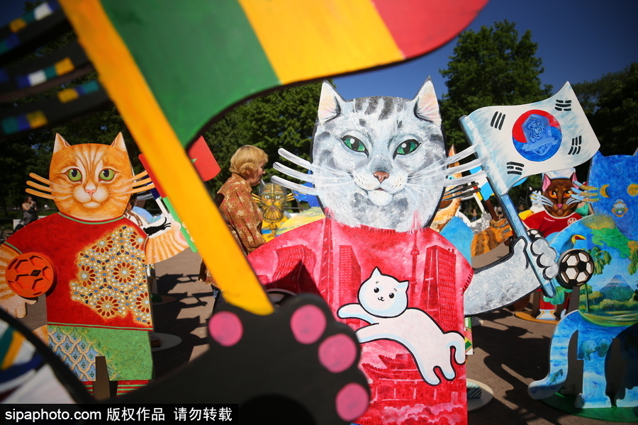 俄羅斯“預言貓”攜各國“貓咪”們現身 迎接2018世界杯到來