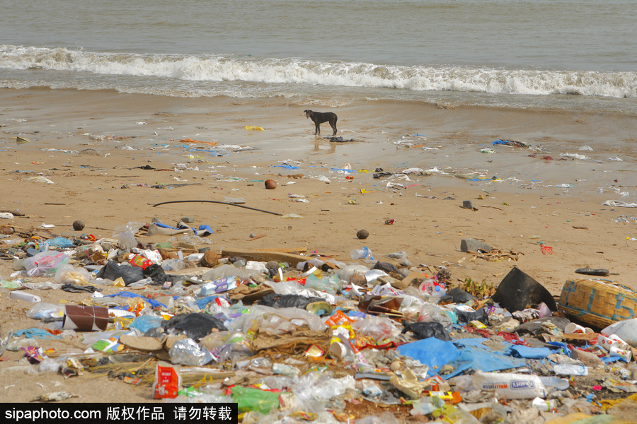 印度海灘成垃圾場 環(huán)保志愿者數(shù)年如一日堅持清理