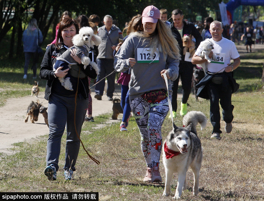 烏克蘭基輔舉行狗狗慈善跑 現(xiàn)場(chǎng)賣萌大比拼