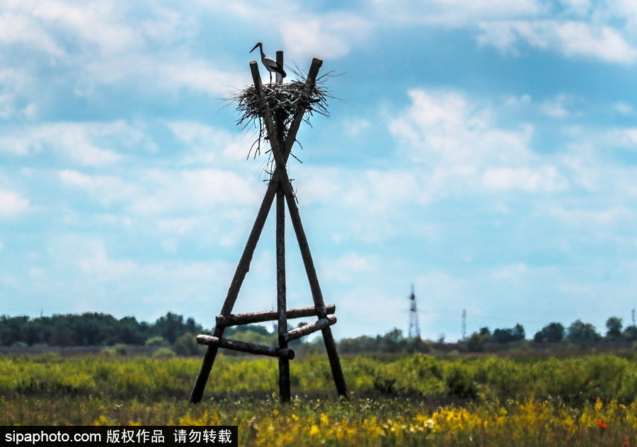 遠離塵囂的動物棲息地 探訪俄羅斯別廖佐夫斯基自然保護區