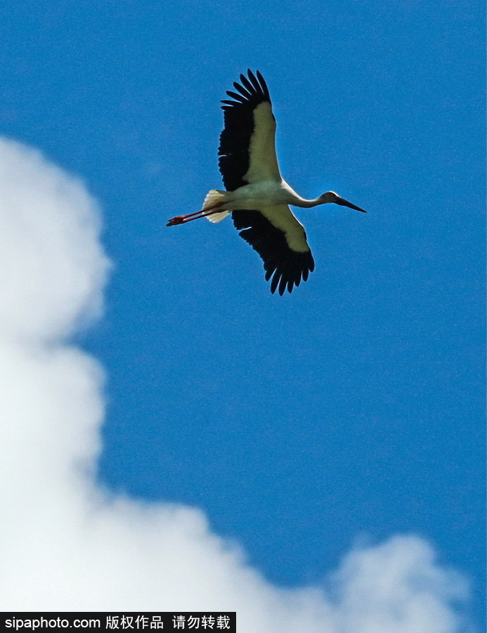 遠(yuǎn)離塵囂的動物棲息地 探訪俄羅斯別廖佐夫斯基自然保護(hù)區(qū)