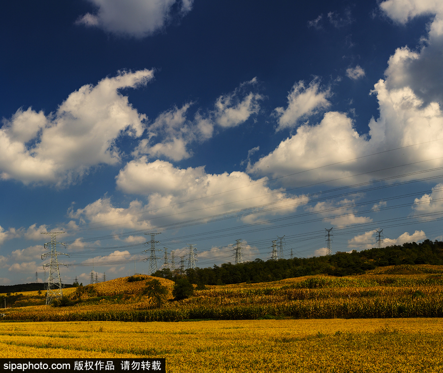 藍天白云刷屏！盤點風清日朗的絕美風光 為眼睛降溫