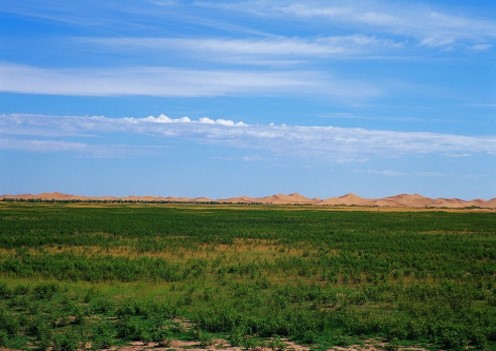 綠洲的世界奇跡：庫布其治沙創造5千億生態財富