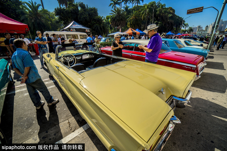 閃閃發光的復古時尚 巴西圣保羅舉行老爺車大“集會”