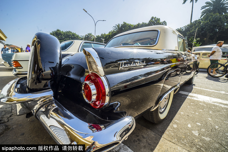 閃閃發(fā)光的復(fù)古時(shí)尚 巴西圣保羅舉行老爺車大“集會(huì)”