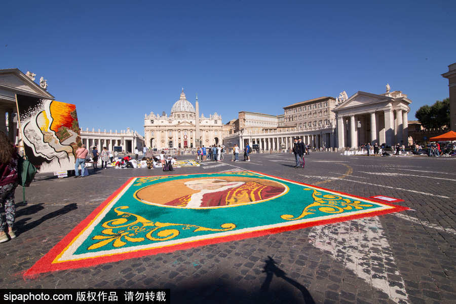 意大利羅馬舉行花毯節(jié) 鮮花地毯五彩繽紛美如畫