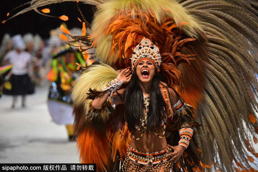 熱情似火的南美風情 巴西帕林廷斯民俗節精彩上演