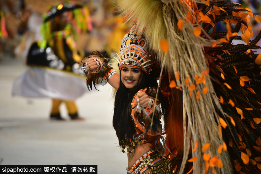 熱情似火的南美風(fēng)情 巴西帕林廷斯民俗節(jié)精彩上演