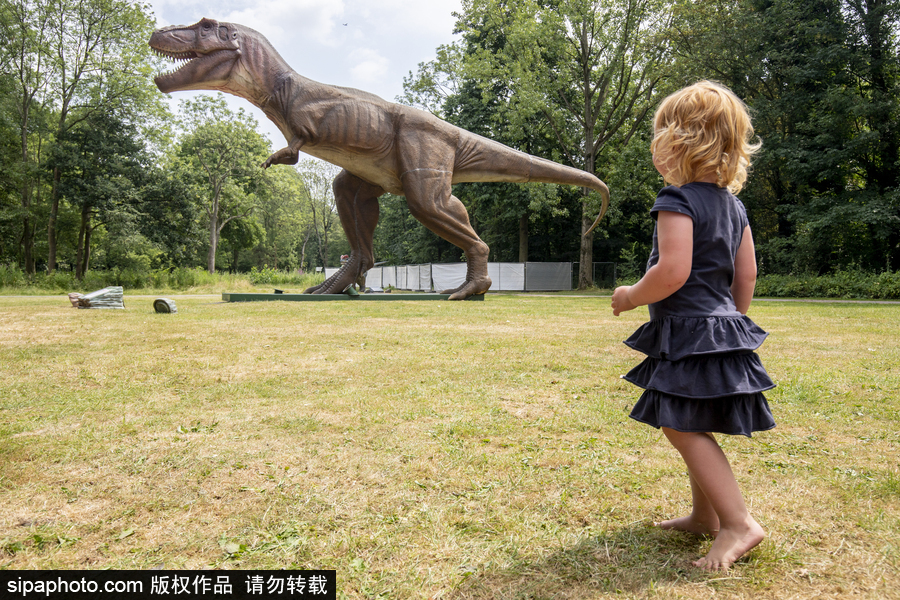 “侏羅紀王國”展覽首次亮相荷蘭 形象逼真似穿越回恐龍時代