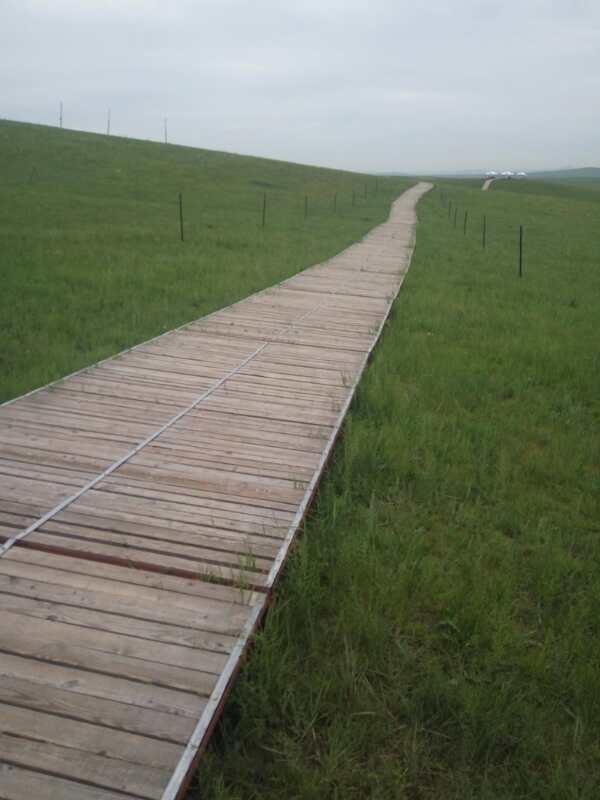 將環保進行到底！九曲彎建最原生態草原