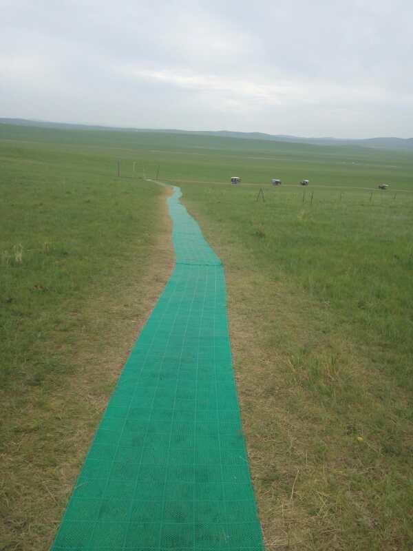 將環保進行到底！九曲彎建最原生態草原