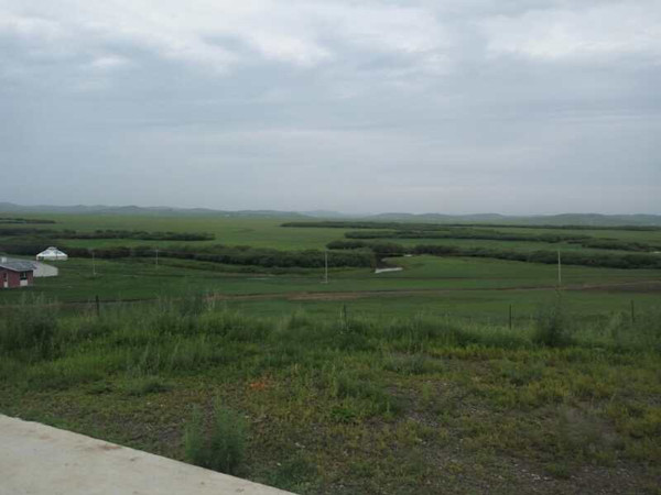 將環保進行到底！九曲彎建最原生態草原