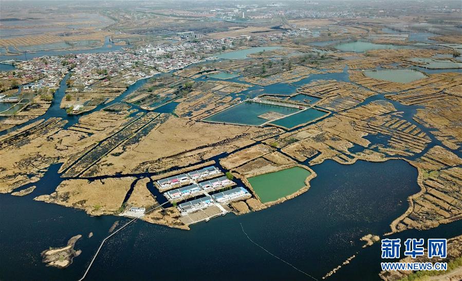 長風破浪會有時——探尋中國經濟的底氣