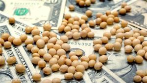 貿易戰讓愛荷華州大豆成為受害者，到底怪誰？！這州網友齊吐槽