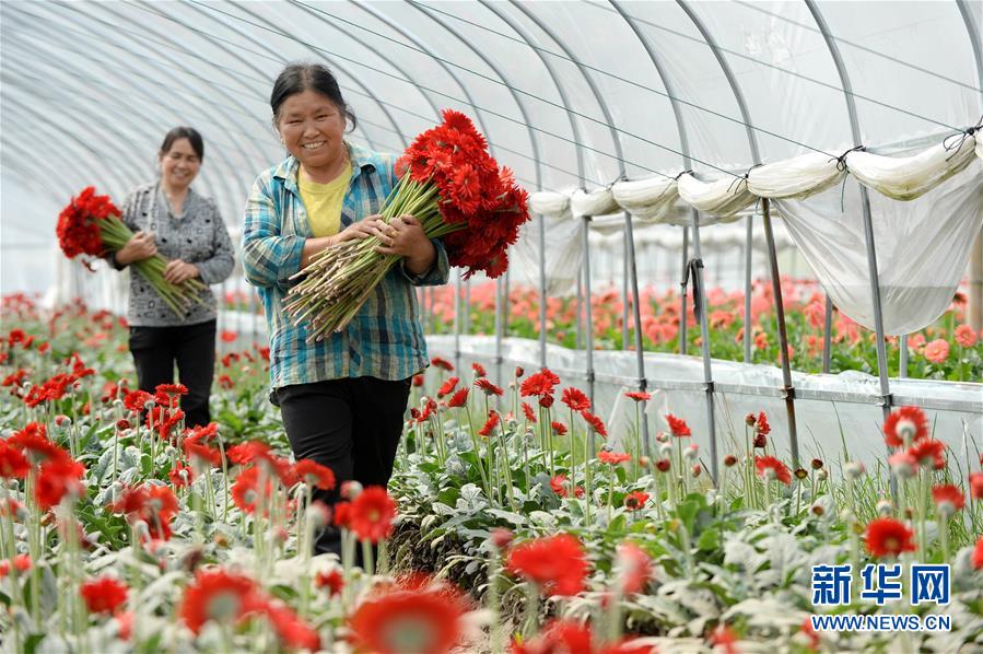 擘畫新時(shí)代中國(guó)發(fā)展新坐標(biāo)——深入推動(dòng)長(zhǎng)江經(jīng)濟(jì)帶發(fā)展述評(píng)