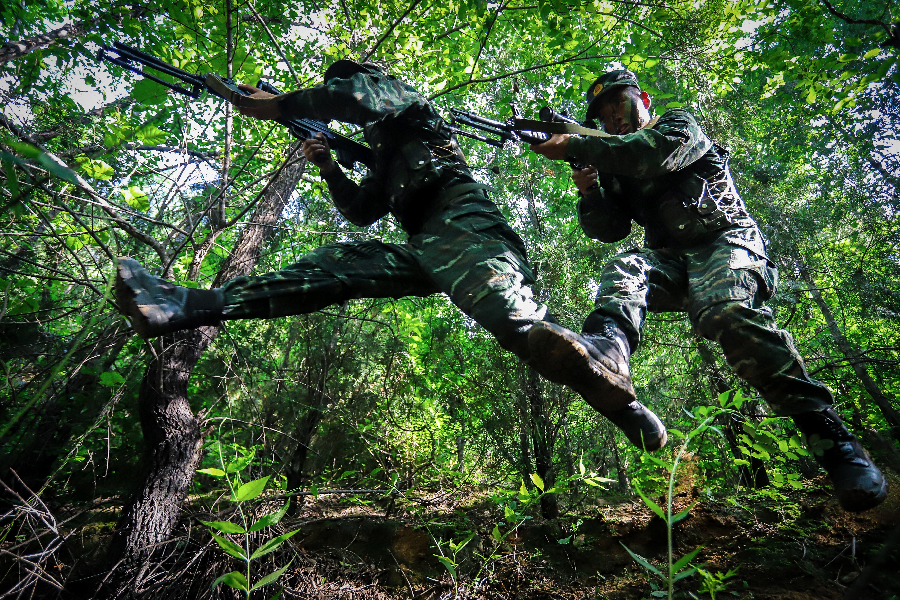 王牌出手！他們是戰(zhàn)場(chǎng)上的“狩獵者”