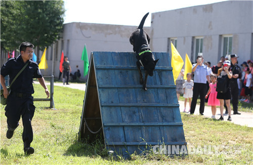 北京市公安局公交總隊(duì)在警犬基地舉行警營(yíng)開放日活動(dòng)