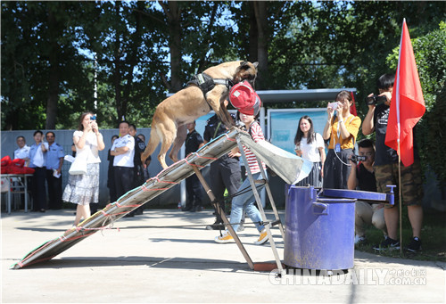 北京市公安局公交總隊(duì)在警犬基地舉行警營(yíng)開放日活動(dòng)