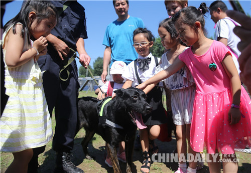 北京市公安局公交總隊(duì)在警犬基地舉行警營(yíng)開放日活動(dòng)