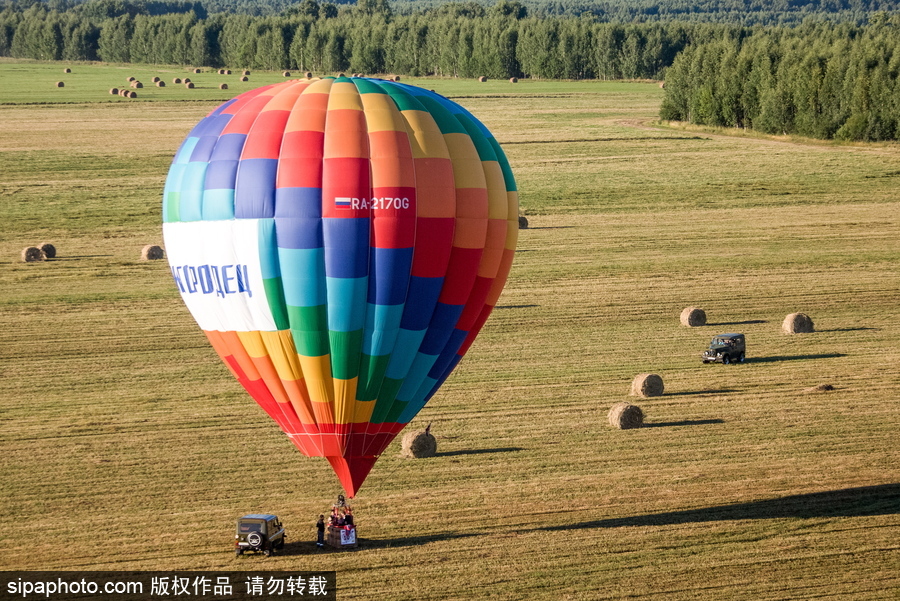 田野上放飛的彩色希望！俄羅斯下諾夫哥羅德舉辦熱氣球節